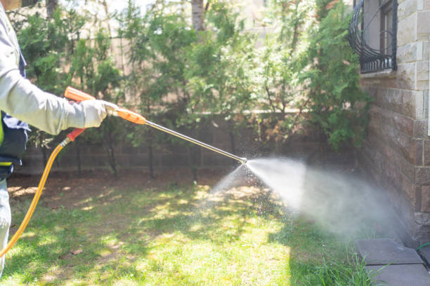 Best Local Pest Control Services  in Brodhead, WI