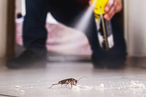 Best Wildlife Control Services  in Brodhead, WI