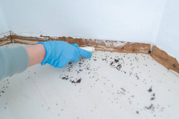 Best Affordable Pest Control Services  in Brodhead, WI