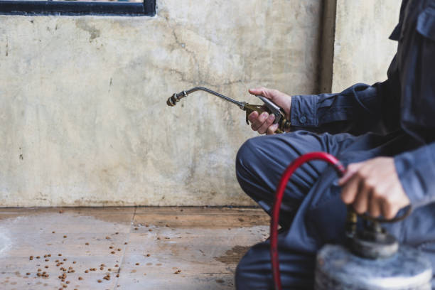 Best Affordable Pest Control Services  in Brodhead, WI
