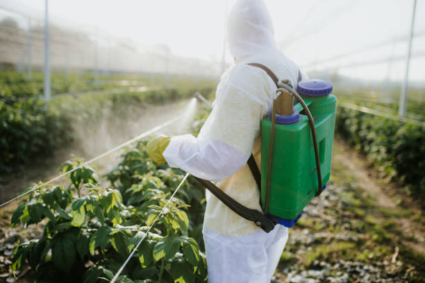 Best Best Pest Control Companies  in Brodhead, WI